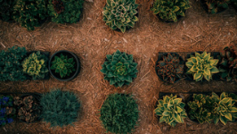Gardens