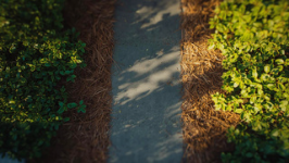 Pathways
